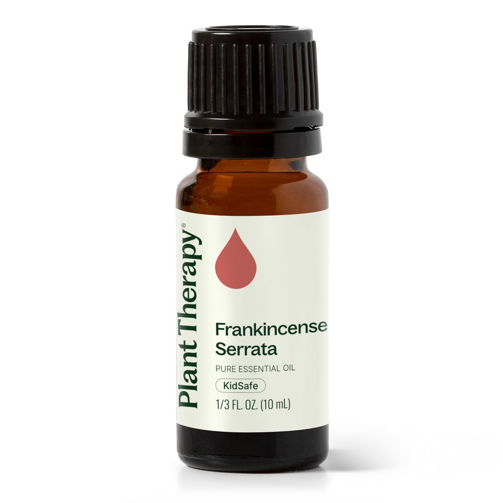 Plant Therapy Frankincense Serrata essential oil 10 mL bottle