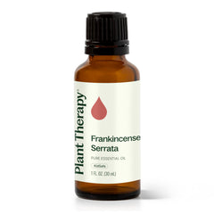Plant Therapy Frankincense Serrata essential oil 30 mL bottle