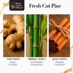 Close up of Exotic Bamboo note in diffuser oil
