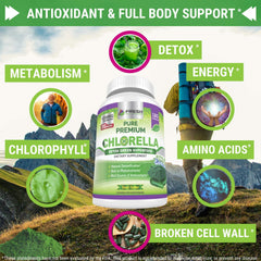 Chlorophyll rich formula for detox support