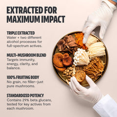 Organic certification and natural mushroom supplement concept