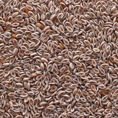 Close-up view of psyllium seeds from Frontier Co-op Organic Whole Psyllium Seed 1lb