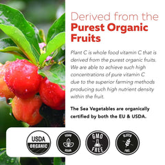Sourcing of organic fruits for Vitamin C liquid
