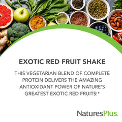 Scoop of FRUITEIN Exotic Red Fruit Shake powder