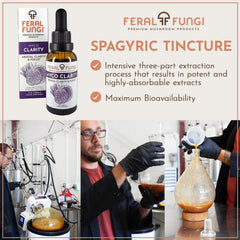 100% fruiting-body mushrooms used in the tincture