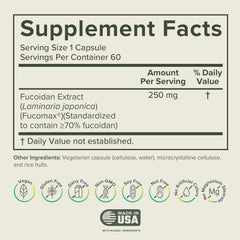 Close-up of Fucoidan capsules (250mg)