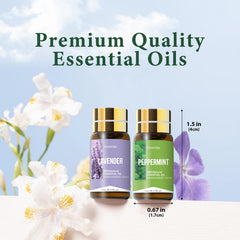 Assorted essential oils including lavender and peppermint in 5ml bottles