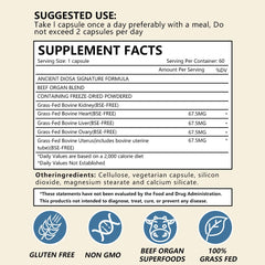 Concept image for hormone balance and women's health