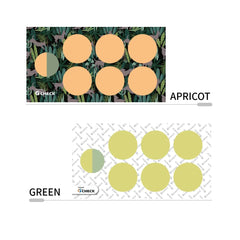 G-Check Green sticker held in hand