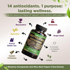 Acai, Green Tea, and NAC superfood synergy image