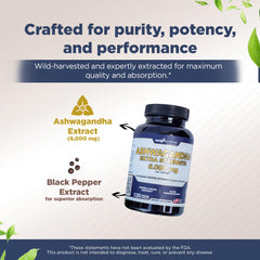 Mood support and energy benefits from Ashwagandha