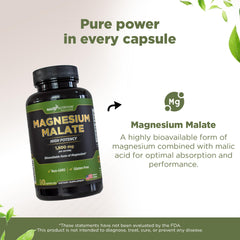 Magnesium malate supporting energy, muscles, and recovery