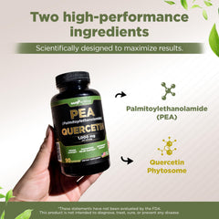 Quercetin phytosome absorption technology illustration