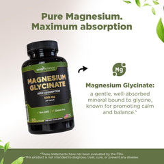 Chelated magnesium glycinate powder illustration showing high bioavailability