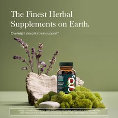 Gaia Herbs Adrenal Health Nightly Restore label close-up highlighting herbal ingredients