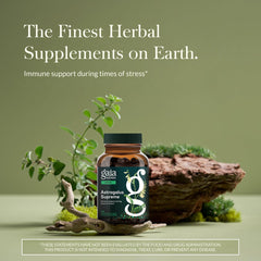 Gaia Herbs Astragalus Supreme capsules closeup highlighting vegan phyto-caps.