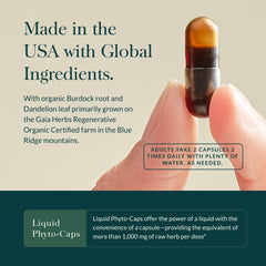 Organic horsetail ingredient