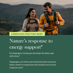 Herbal adaptogen concept with Cordyceps mushroom imagery