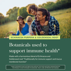 Herbal blend of echinacea and goldenseal root