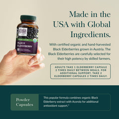 Organic elderberry and acerola imagery on product packaging
