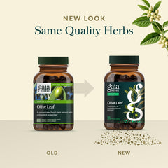 Gaia Herbs Olive Leaf label showcases single-herb extract for immune wellness.