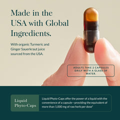 Organic turmeric with ginger extract for vegan capsules