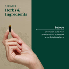 Bacopa monnieri extract ingredients label