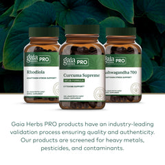 GAIA HERBS PRO turmeric root close-up showing plant source and natural curcumin benefit