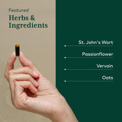 Close-up of St. John's Wort capsule blend