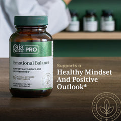 Herbal synergy blend including schisandra, gotu kola, ginkgo, and rosemary