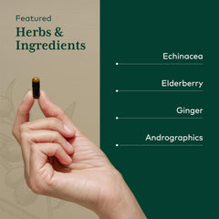 Active ingredients featuring Ginger Root and Andrographis