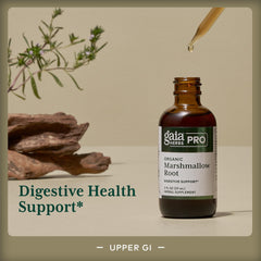 Organic marshmallow root extract visual