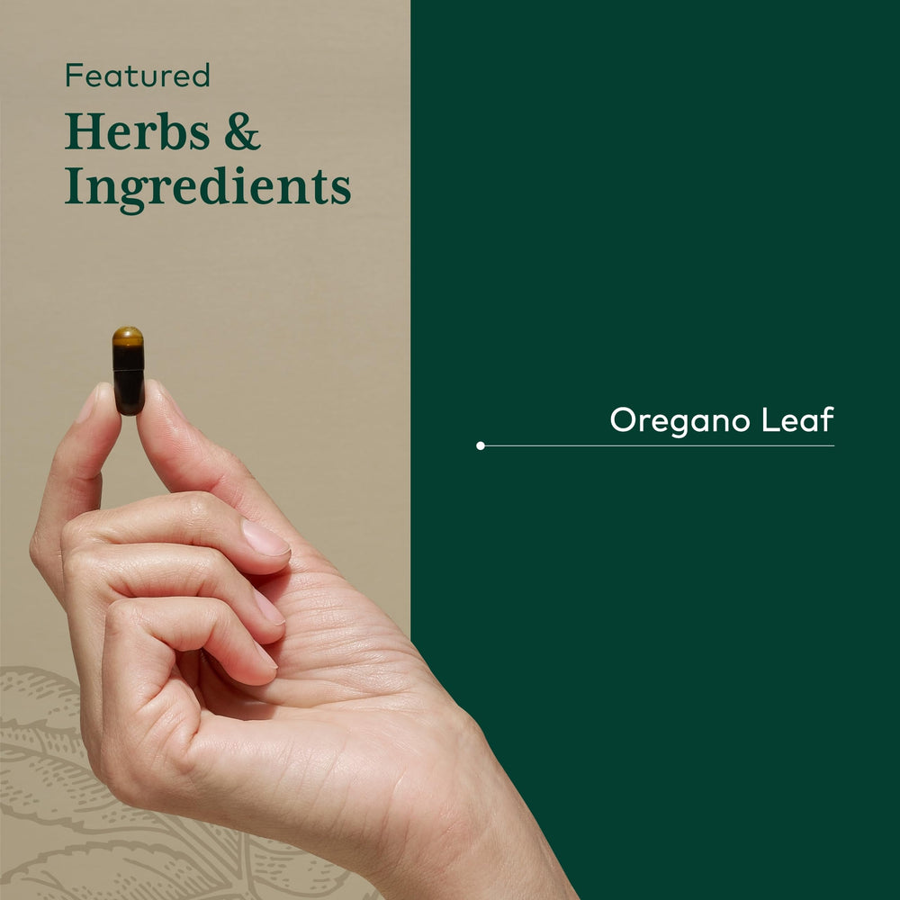 CO2 extraction process for oregano oil