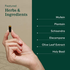 Olive oil and lecithin used to enhance absorption