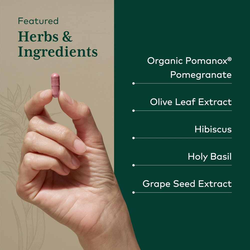 Grape seed and holy basil in Gaia Herbs PRO Systolic Complex