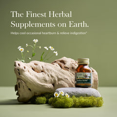 Gaia Herbs Reflux Relief soft mint flavor chewables highlighting digestion aid