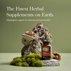 Close-up of Gaia Reishi Mushroom bottle label