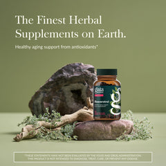 Close-up of trans-resveratrol 150 mg per serving text on label