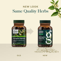 Gaia Herbs Schisandra Berry image showcasing vibrant red berries.
