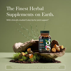 Ga ia Herbs Turmeric Supreme Joint Health label close-up highlighting ingredients