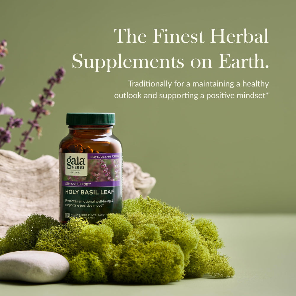 Holy Basil leaves and vegan phyto-capsules on a white surface