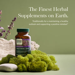 Holy Basil leaves and vegan phyto-capsules on a white surface