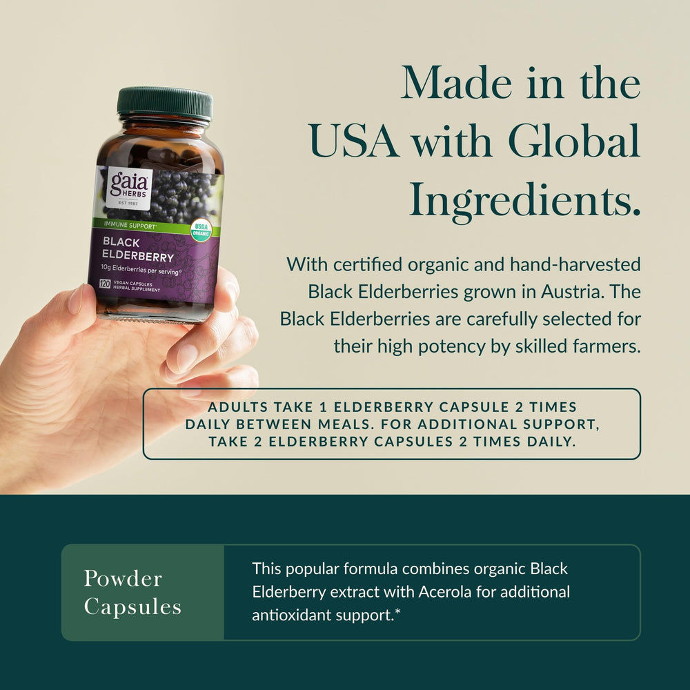 Organic elderberries from Gaia Herbs' cooperative