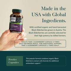 Organic elderberries from Gaia Herbs' cooperative