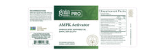Gaia Herbs PRO AMPK Activator bottle showing ginger, Japanese knotweed, and bilberry