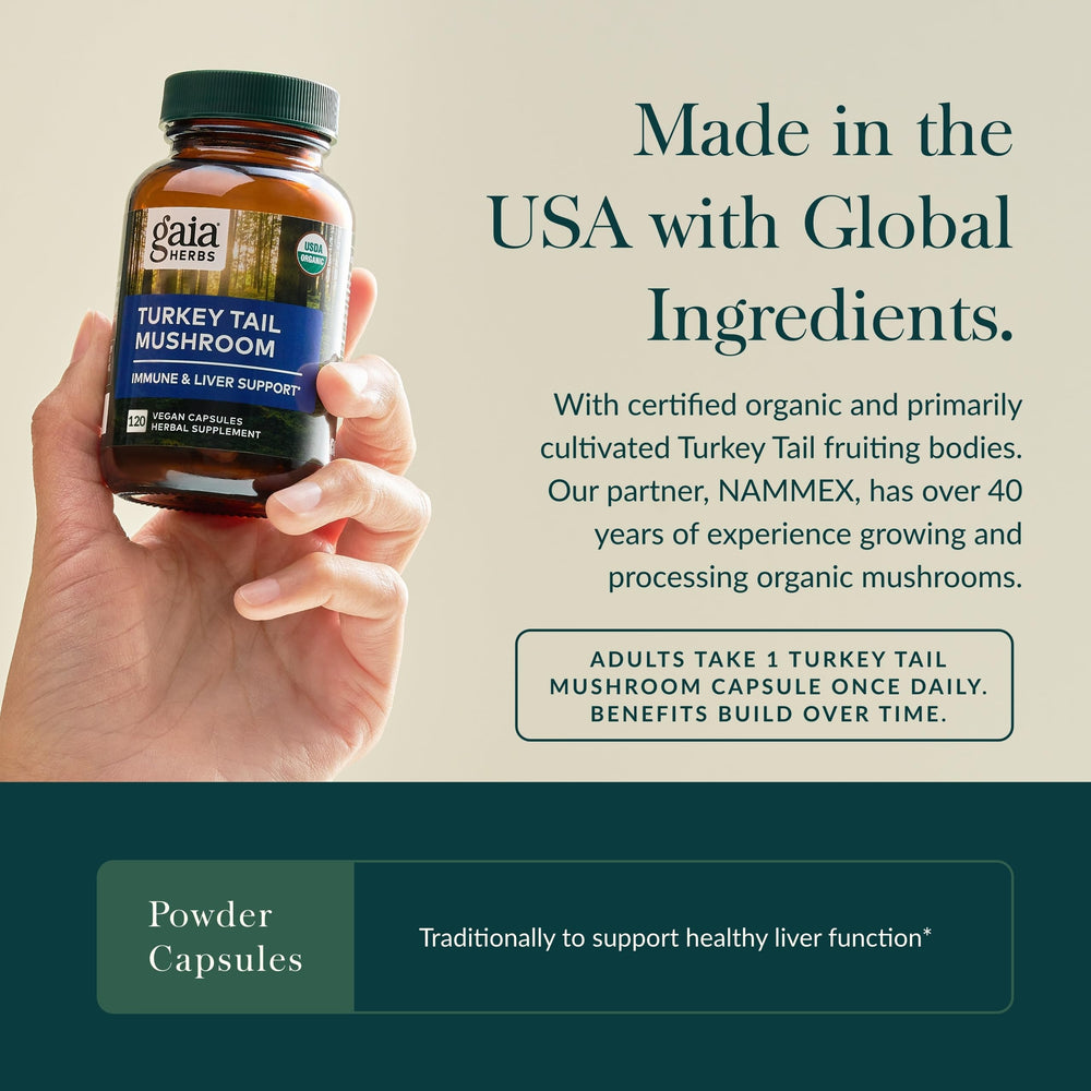 Close-up of Turkey Tail mushroom immune-support capsule