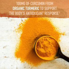 Fermented turmeric and ginger indicating improved bioavailability