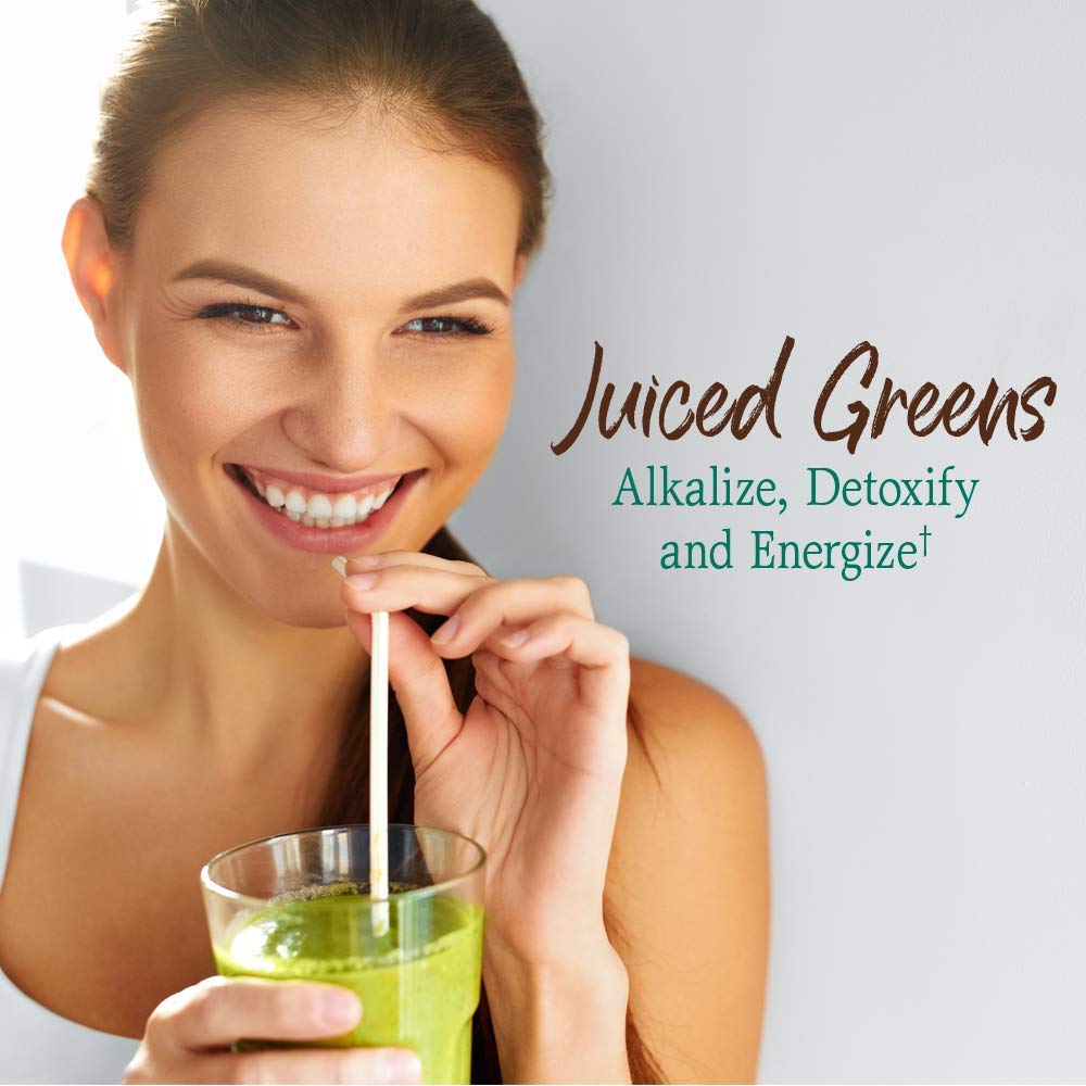 Garden of Life Raw Organic Perfect Food Chocolate ingredients highlight greens, sprouts, and vegetable juices.