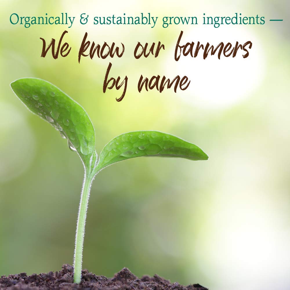 Garden of Life Raw Organic Perfect Food Chocolate probiotics and enzymes support digestion.