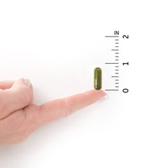 Vegetarian-friendly Vitamin D3 supplement in 60 capsules